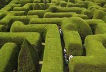 Mornington Peninsula with Winery